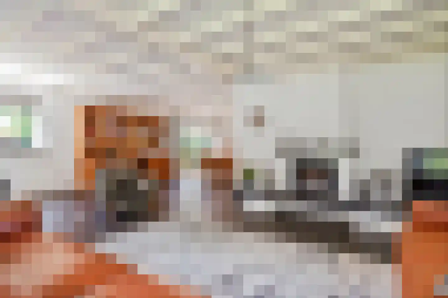Jeudestraat 99 A Zoelen thumbnail 33