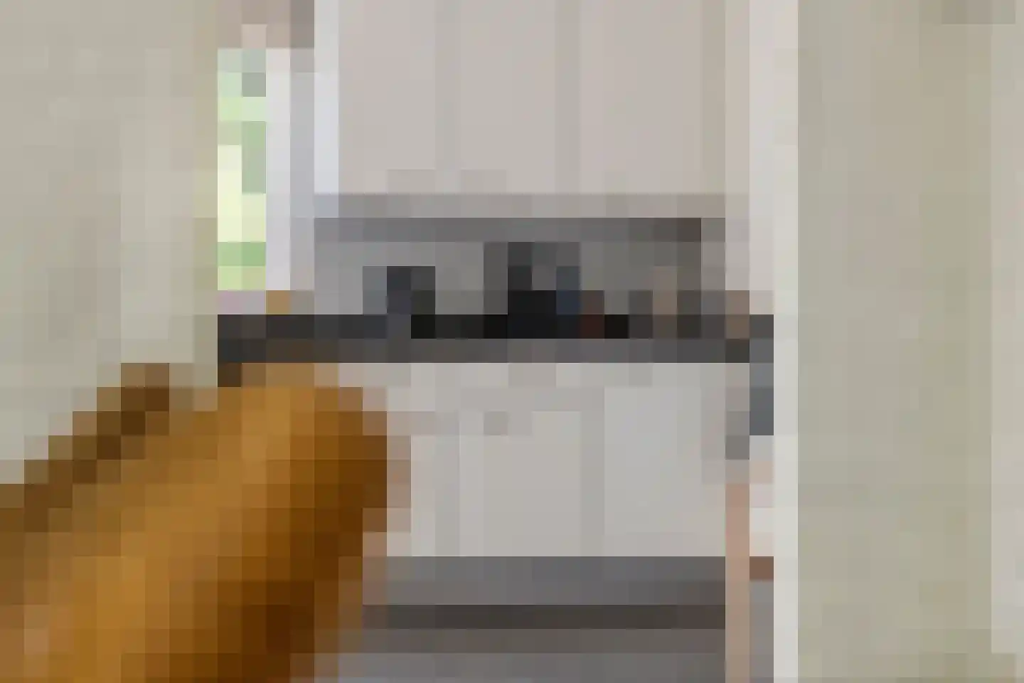 Jeudestraat 99 A Zoelen thumbnail 36