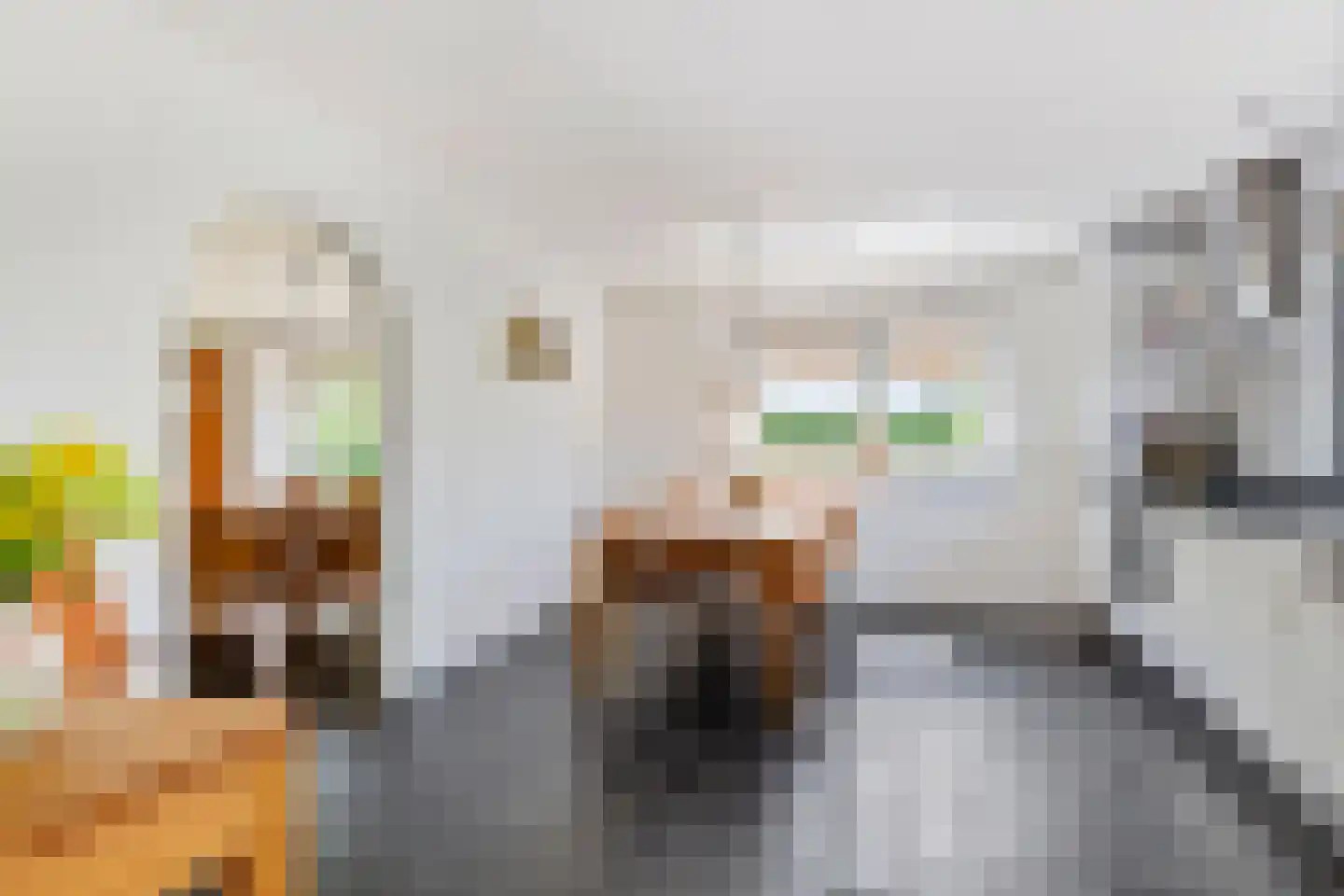 Jeudestraat 99 A Zoelen thumbnail 38