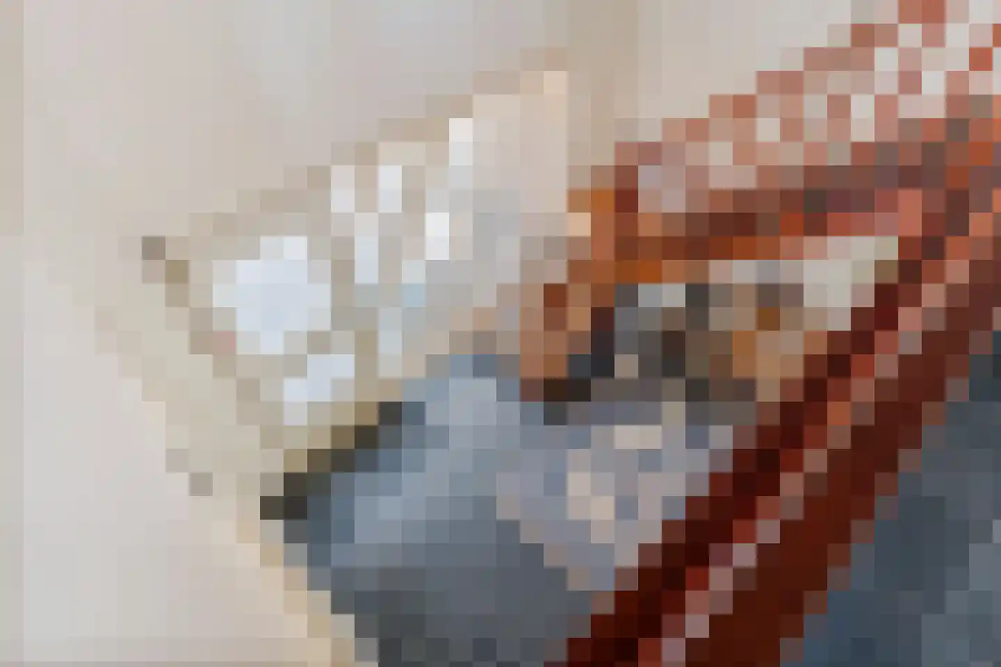Jeudestraat 99 A Zoelen thumbnail 61