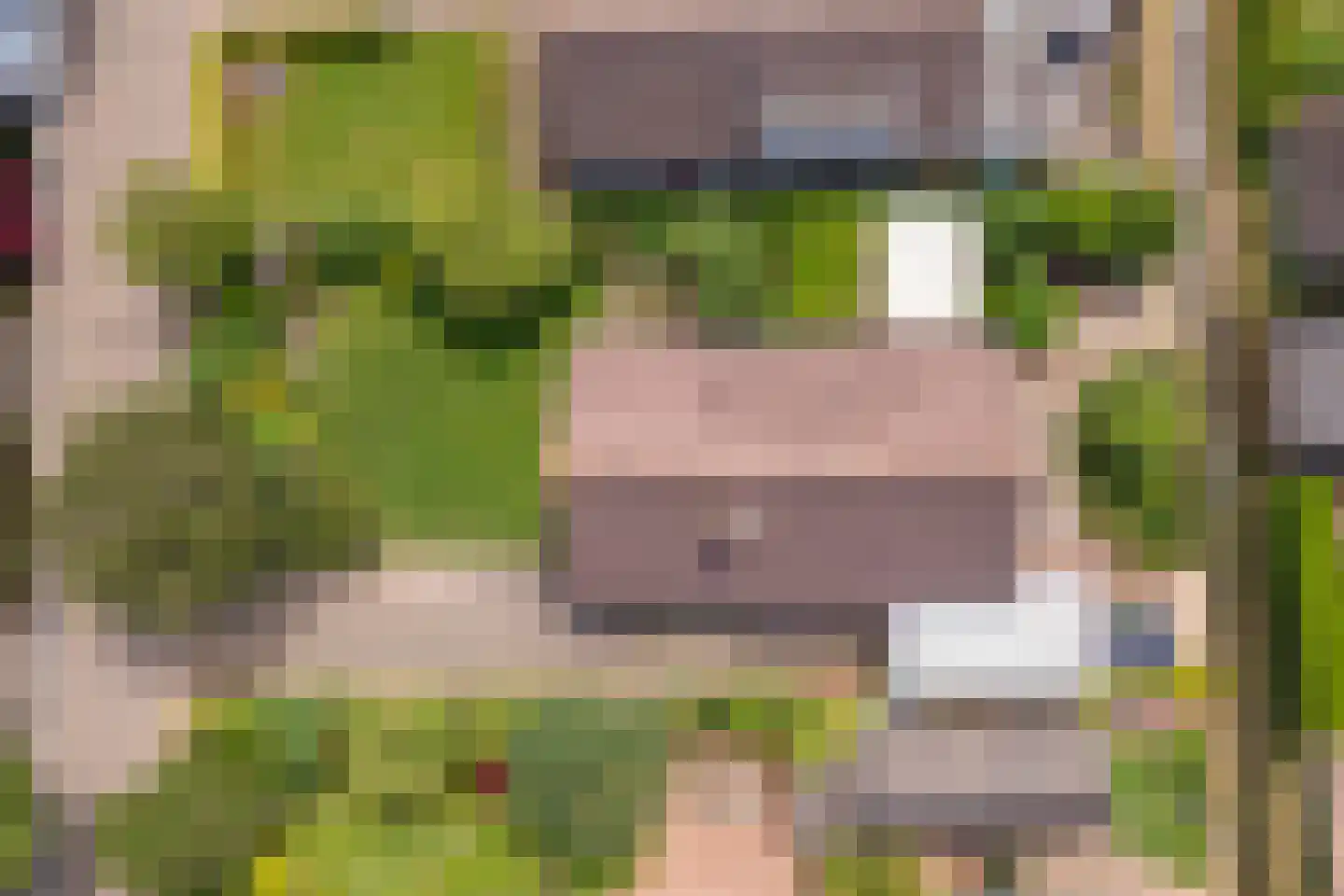 Jeudestraat 99 A Zoelen thumbnail 64