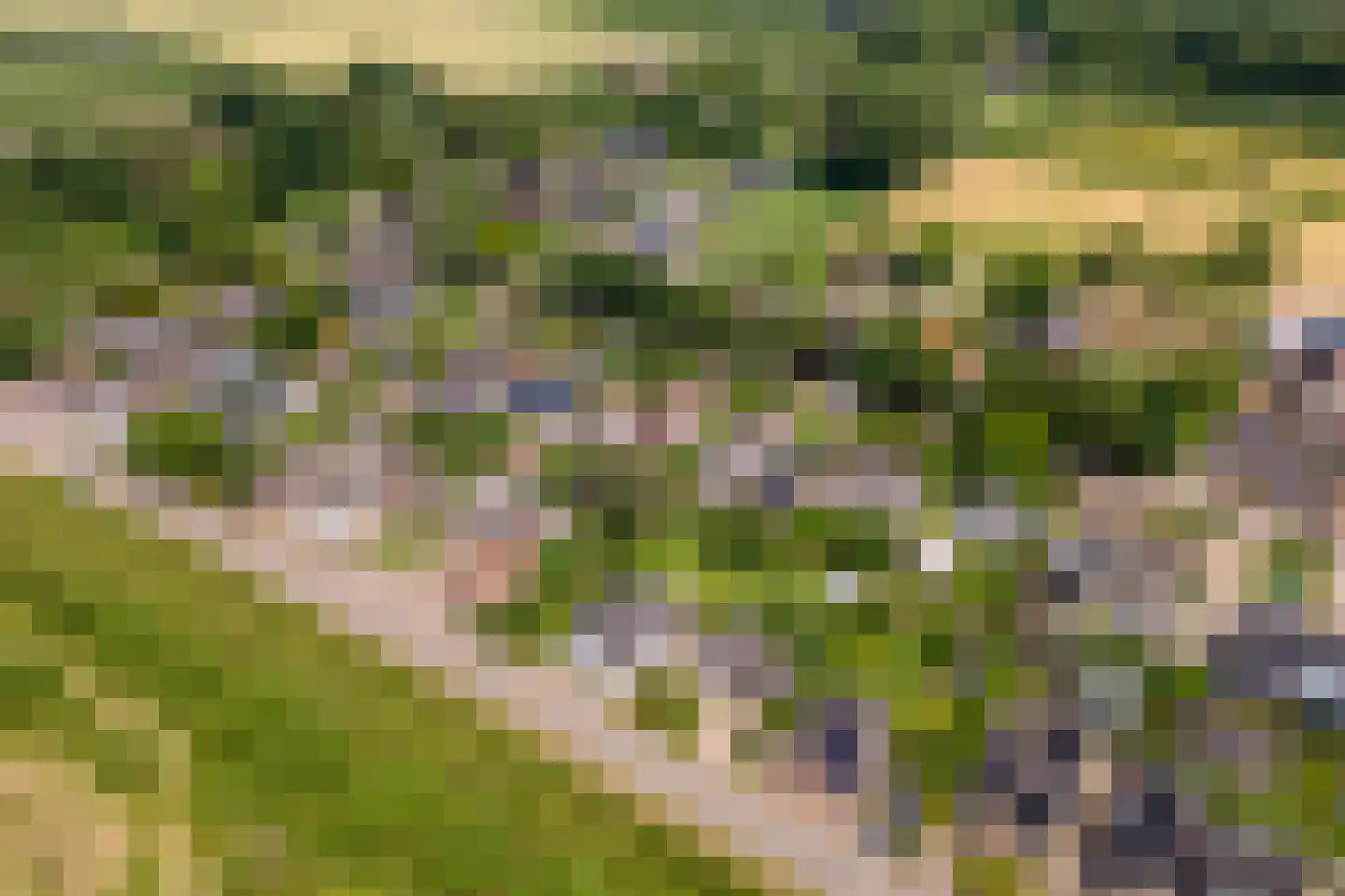 Jeudestraat 99 A Zoelen thumbnail 67