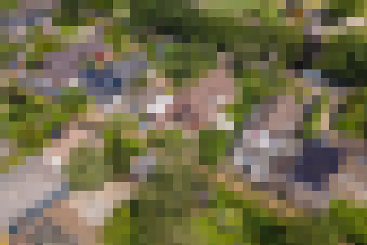 Jeudestraat 99 A Zoelen thumbnail 68