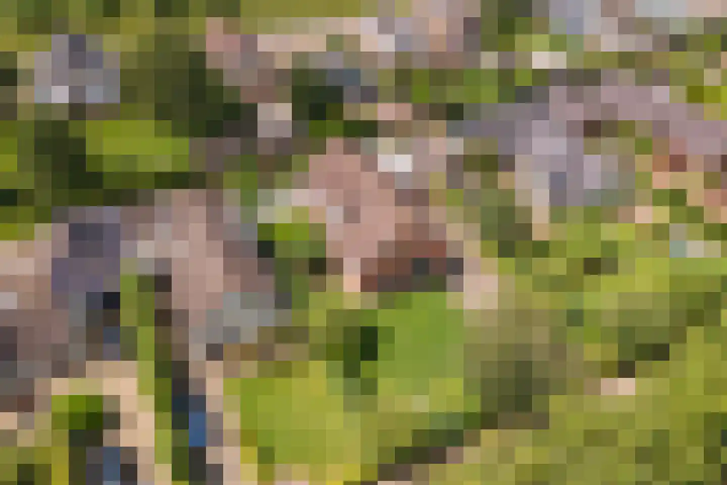 Jeudestraat 99 A Zoelen thumbnail 69