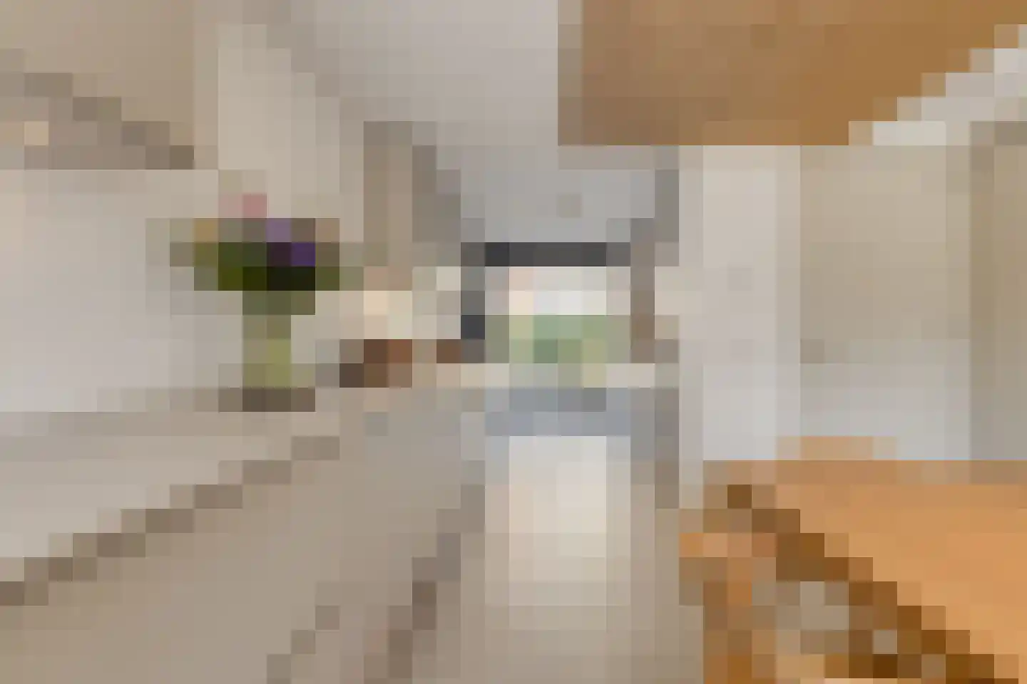 Jeudje 18 Hoorn thumbnail 32