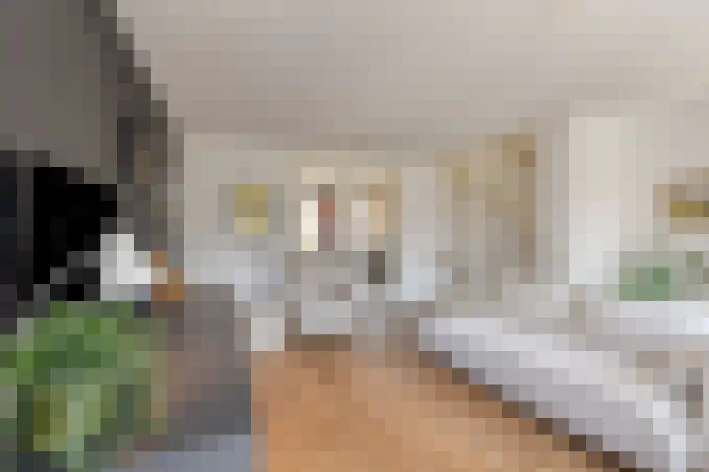Jeudje 18 Hoorn thumbnail 34