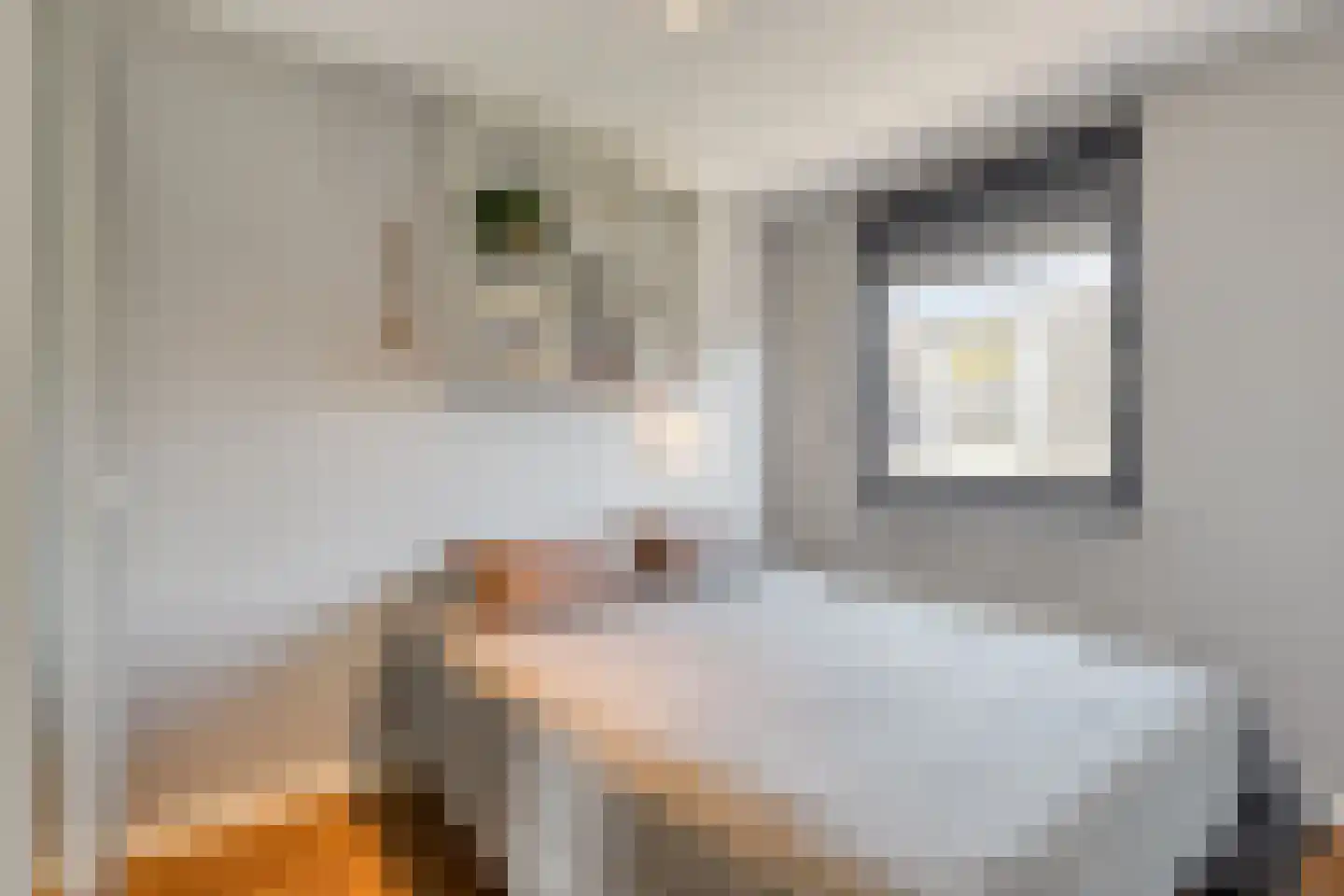Jeudje 18 Hoorn thumbnail 44