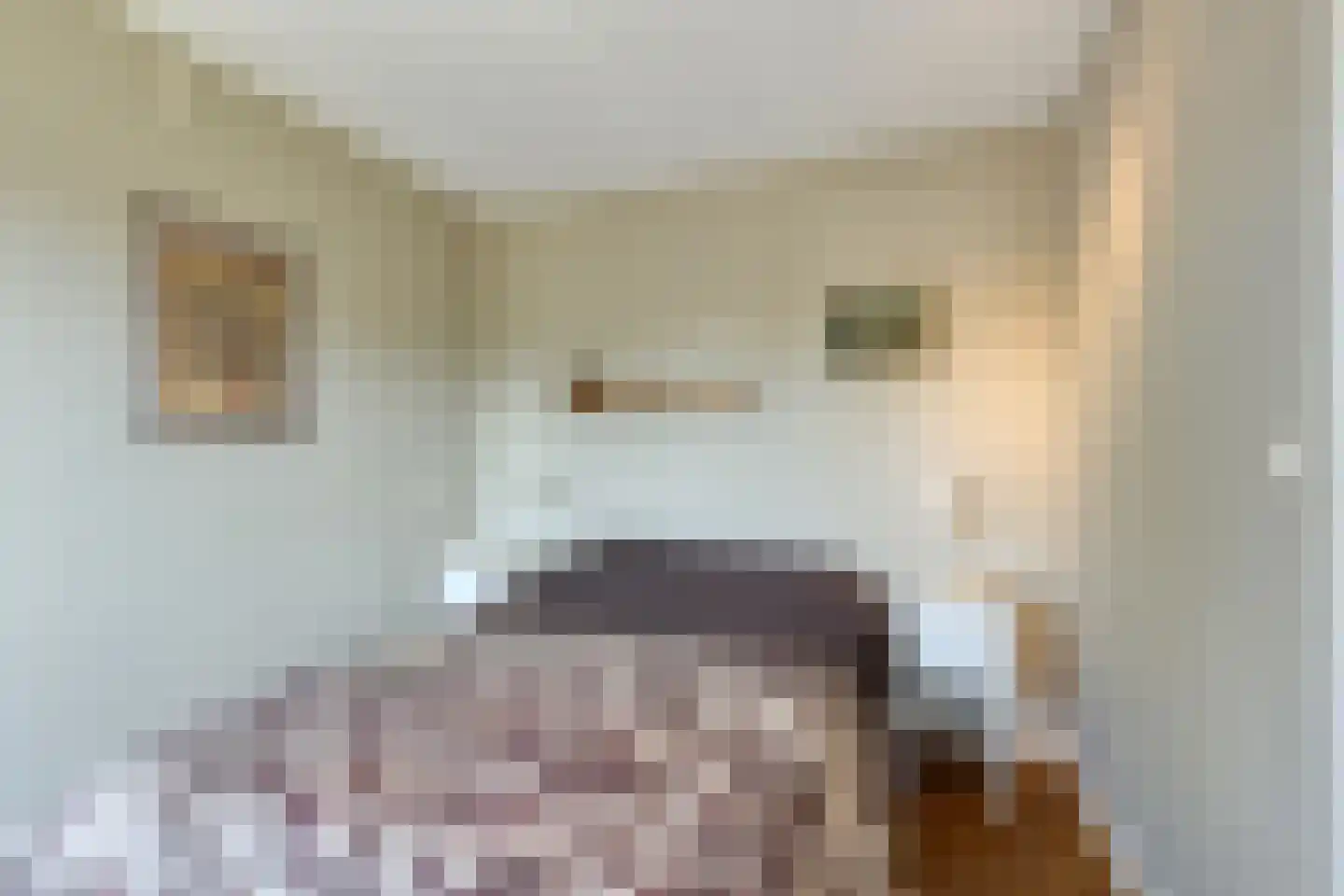 Jeudje 18 Hoorn thumbnail 48