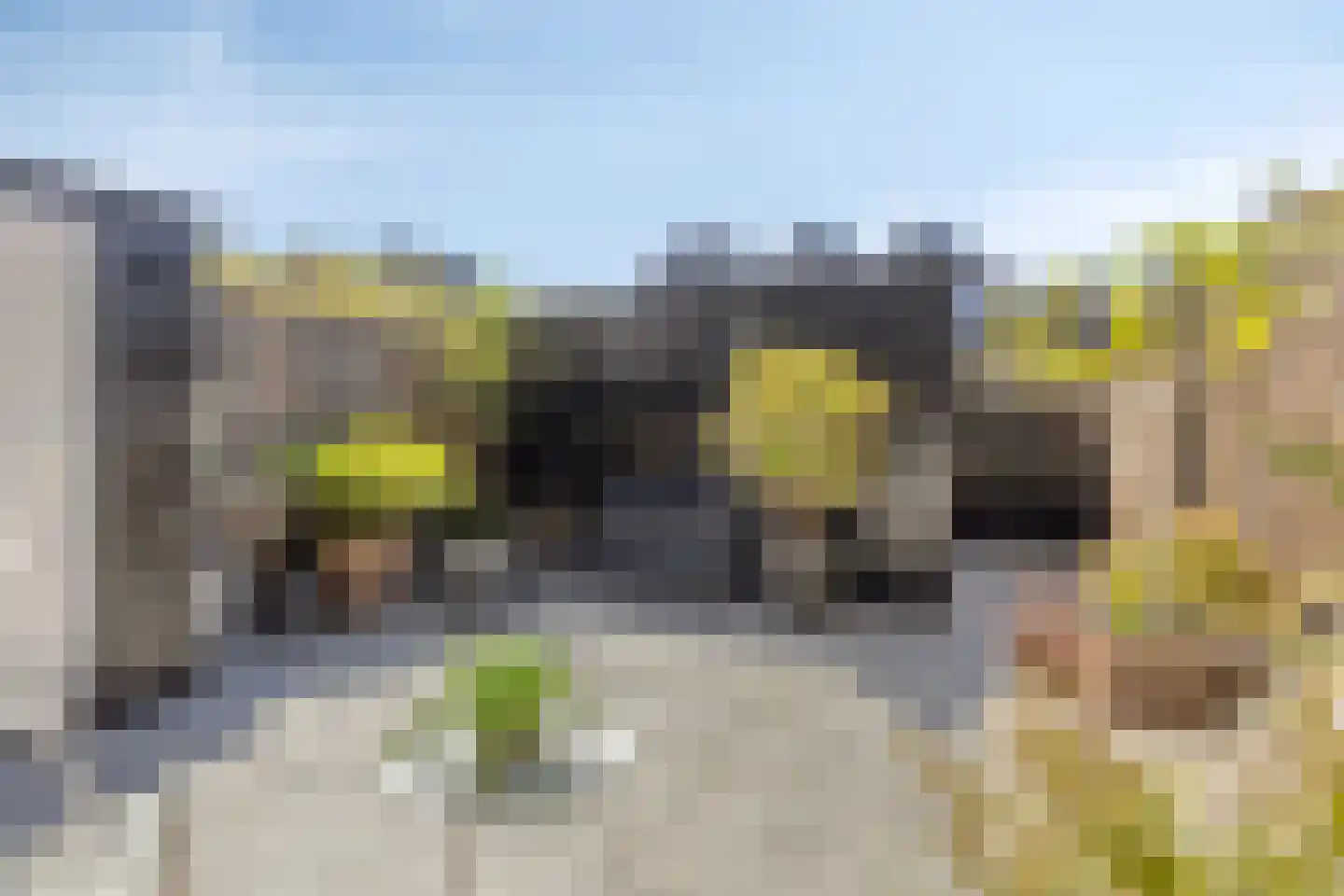 Jeudje 18 Hoorn thumbnail 57