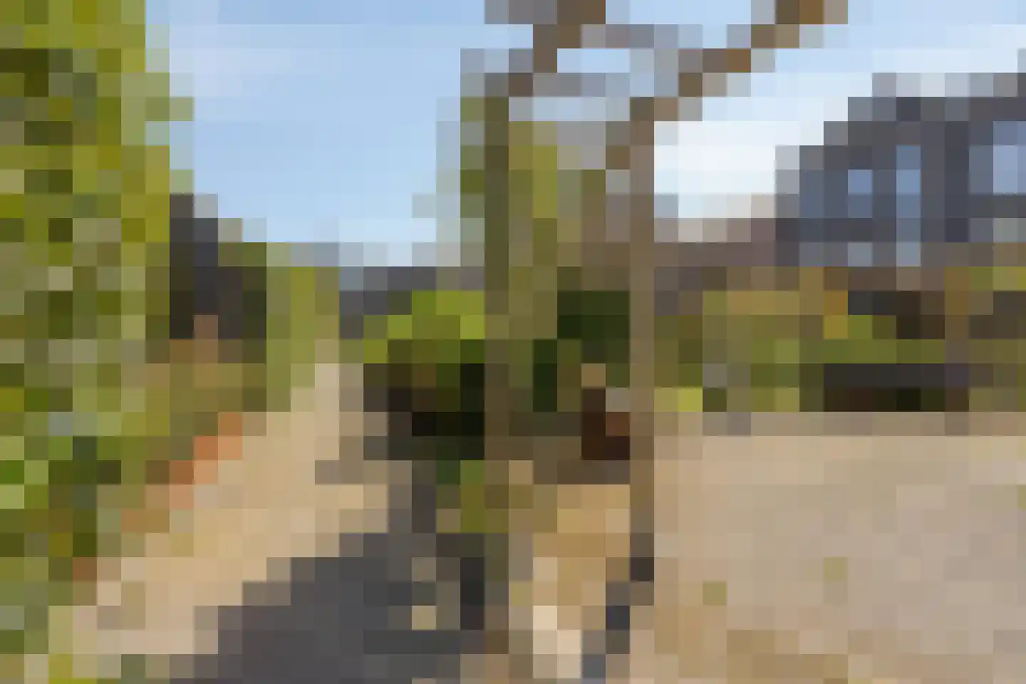 Jeudje 18 Hoorn thumbnail 61