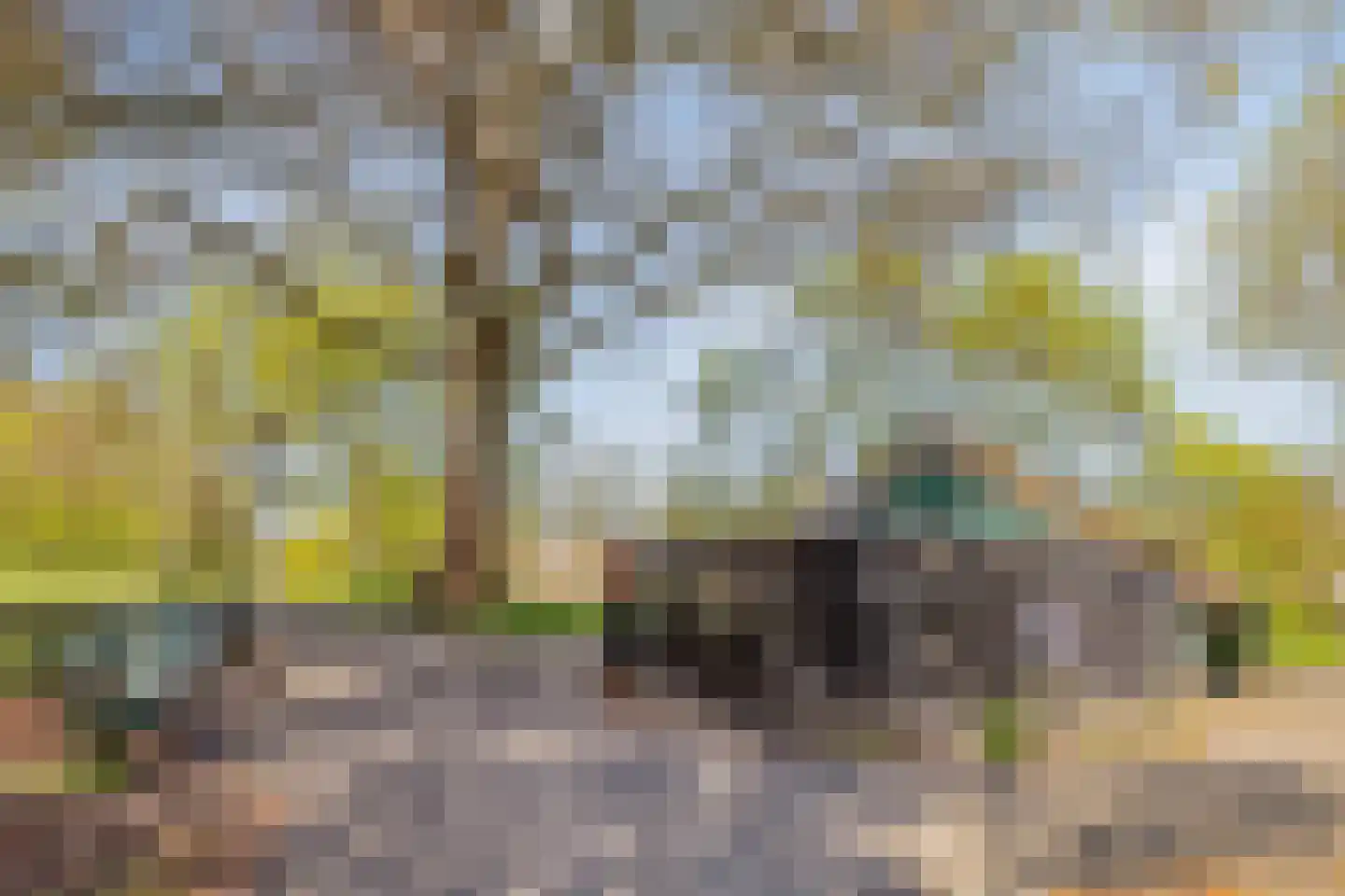 Jeudje 18 Hoorn thumbnail 69
