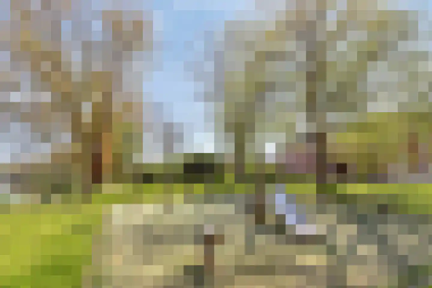 Jeudje 18 Hoorn thumbnail 70