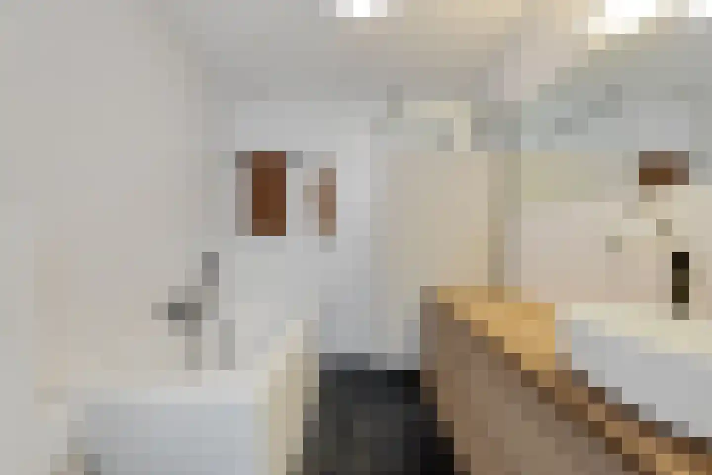 Jeudje 18 Hoorn thumbnail 9