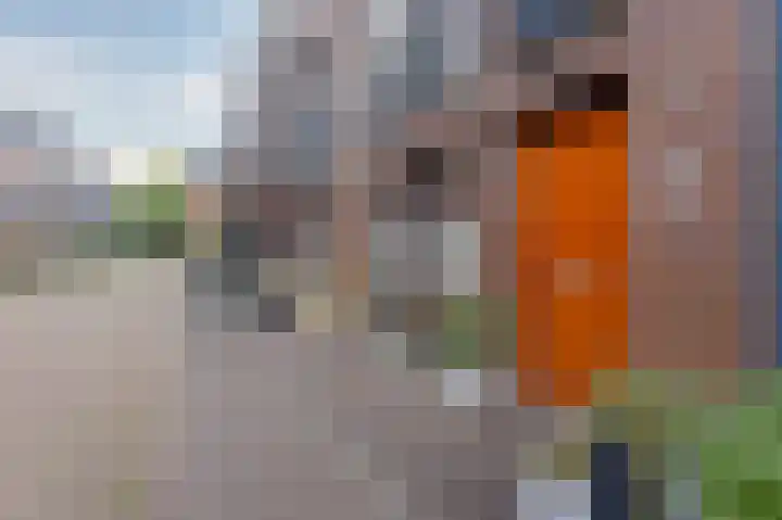Jeudje 21 Hoorn thumbnail 12