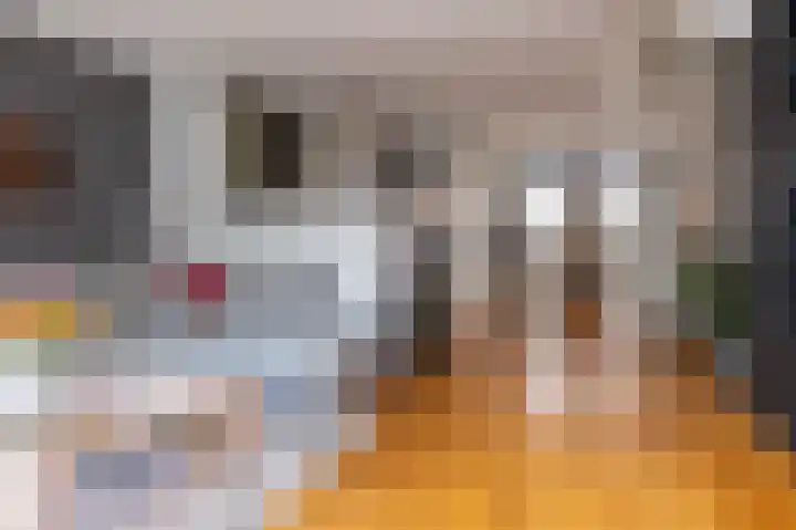Jeudje 21 Hoorn thumbnail 17