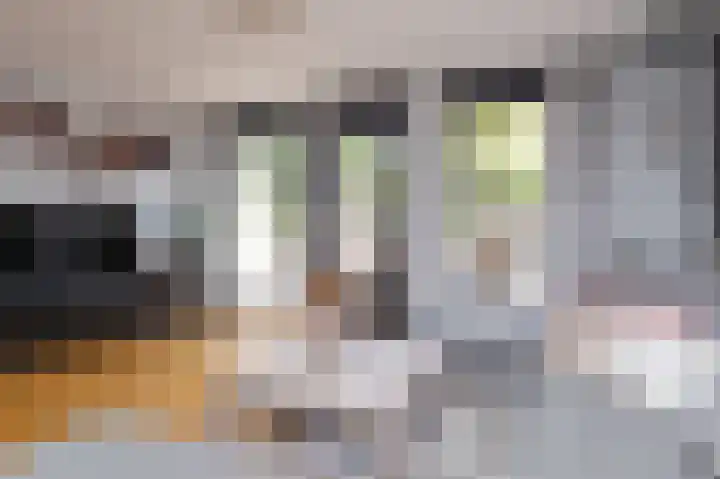 Jeudje 21 Hoorn thumbnail 19