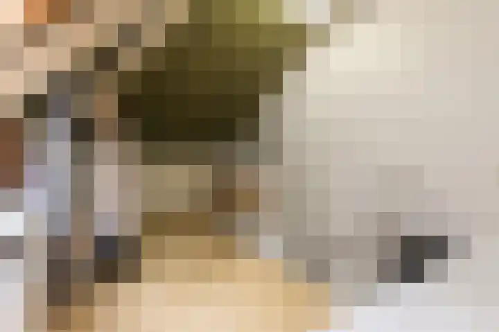 Jeudje 21 Hoorn thumbnail 31