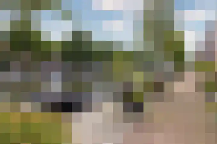 Jeudje 21 Hoorn thumbnail 33