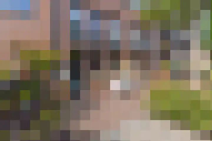 Jeudje 21 Hoorn thumbnail 35