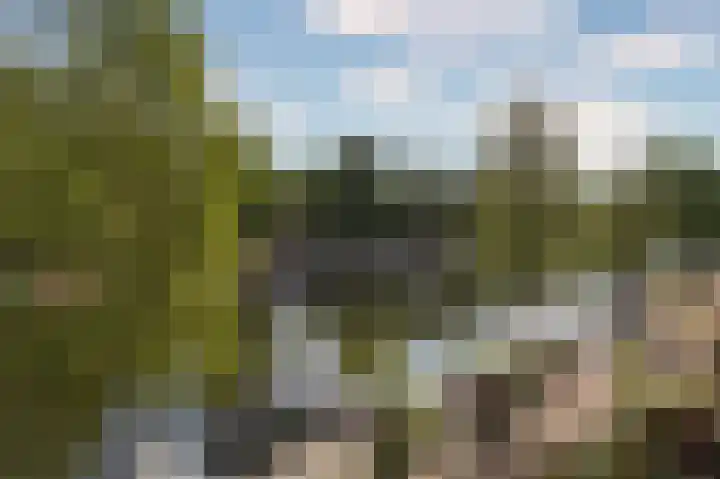 Jeudje 21 Hoorn thumbnail 37