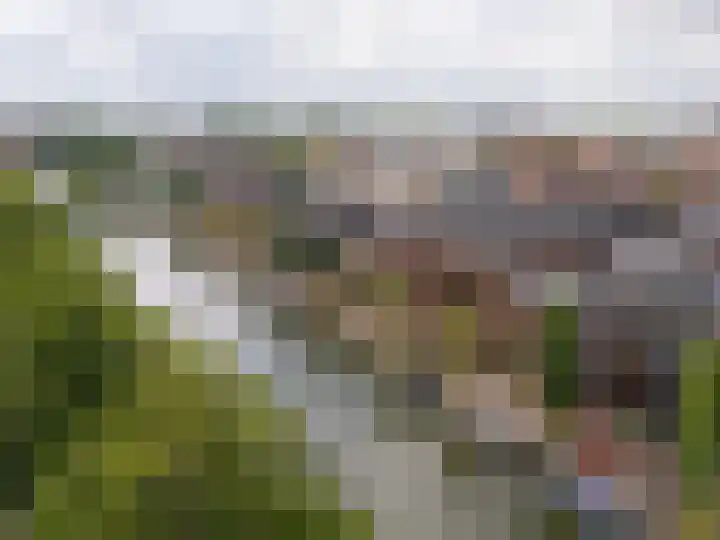 Jeudje 21 Hoorn thumbnail 8