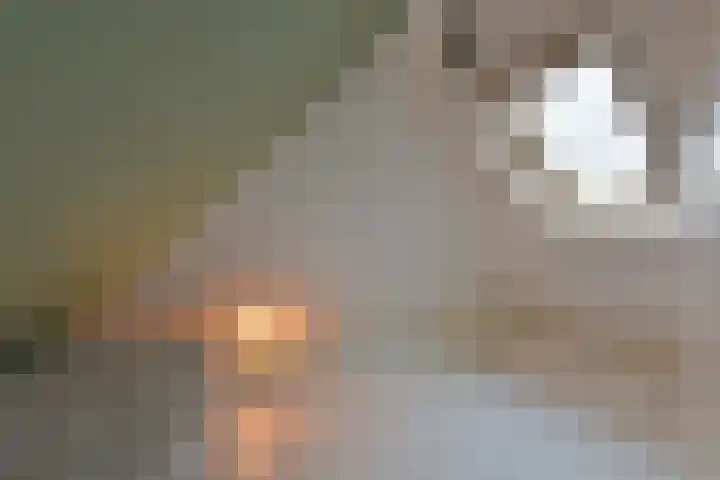 Jeudje 25 Hoorn thumbnail 24
