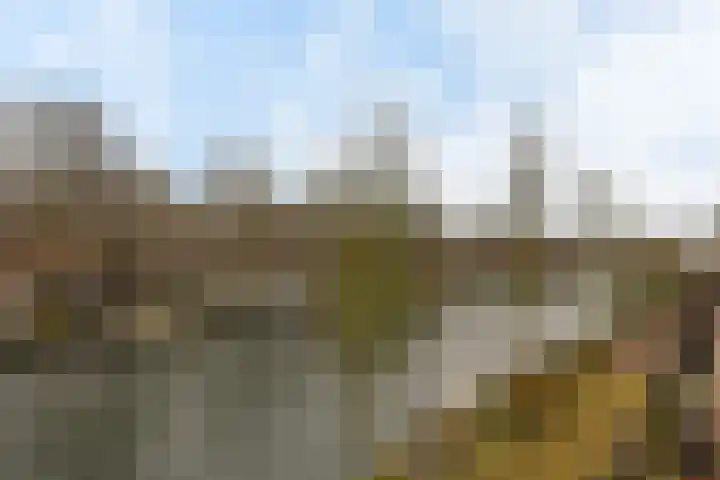 Jeudje 25 Hoorn thumbnail 26