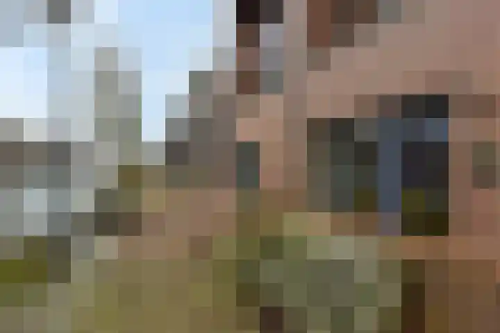Jeudje 25 Hoorn thumbnail 30