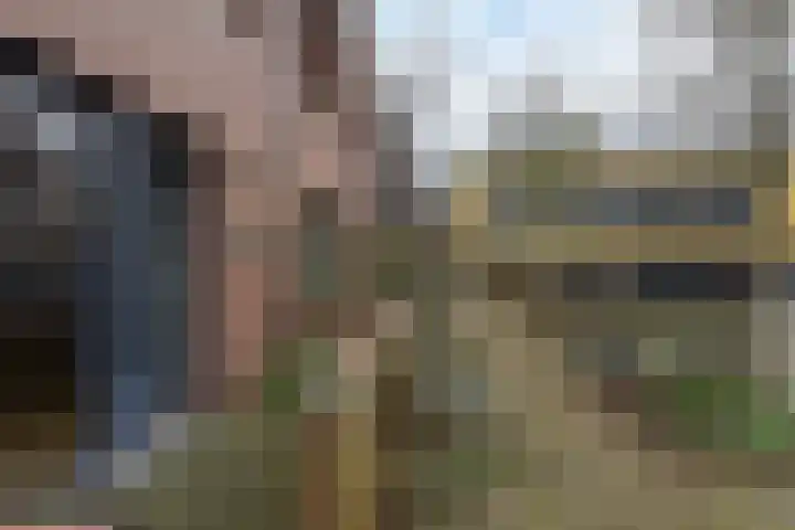 Jeudje 25 Hoorn thumbnail 31