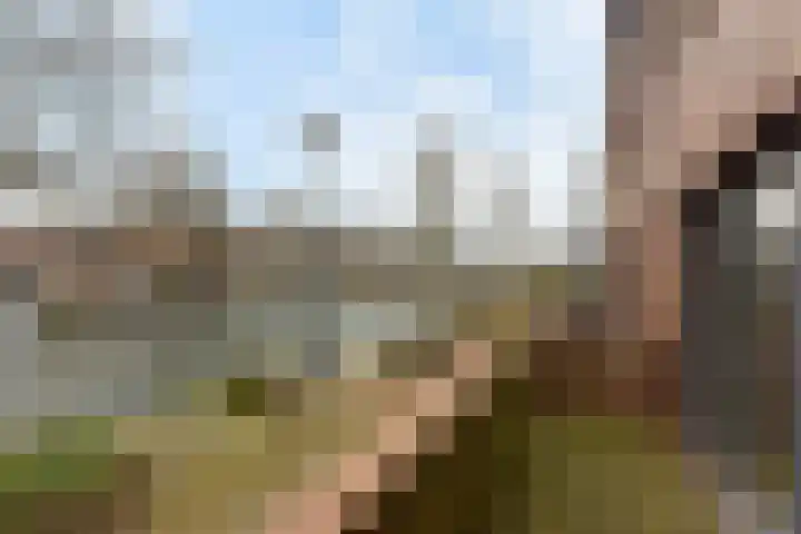 Jeudje 25 Hoorn thumbnail 33
