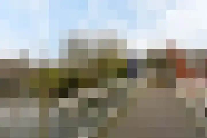 Jeudje 25 Hoorn thumbnail 34