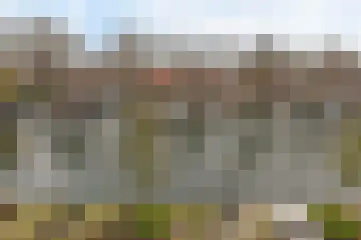 Jeudje 25 Hoorn thumbnail 35