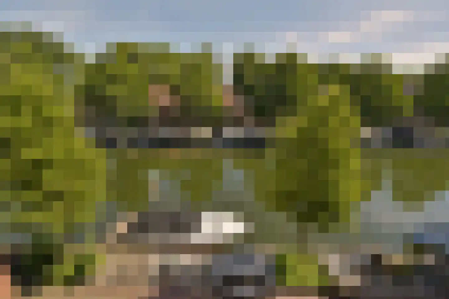 Jeudje 27 Hoorn thumbnail 28