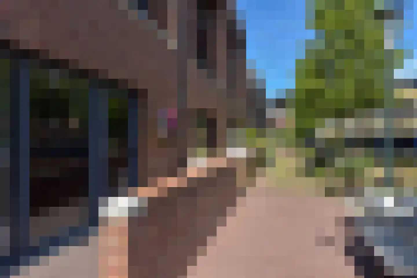 Jeudje 27 Hoorn thumbnail 29
