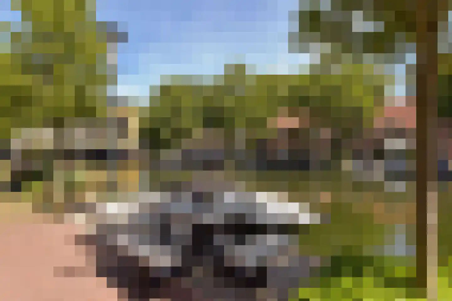 Jeudje 27 Hoorn thumbnail 33