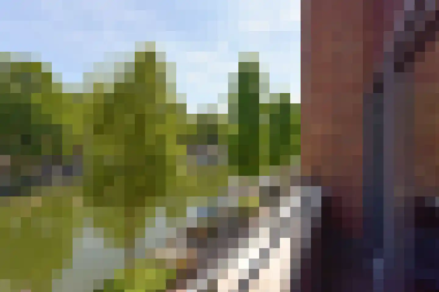 Jeudje 27 Hoorn thumbnail 37