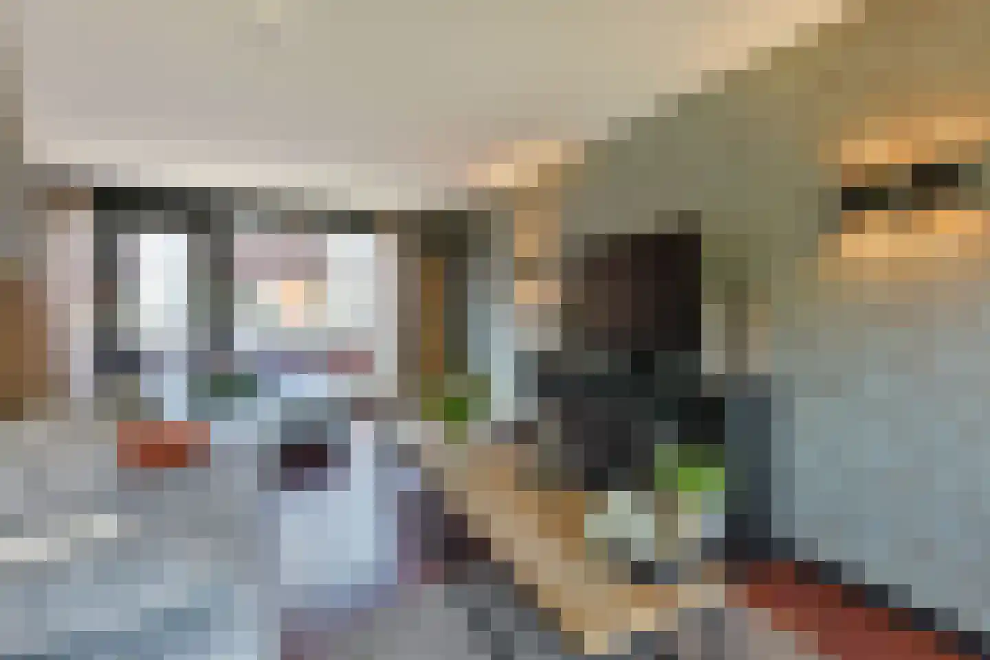 Jeudje 27 Hoorn thumbnail 6