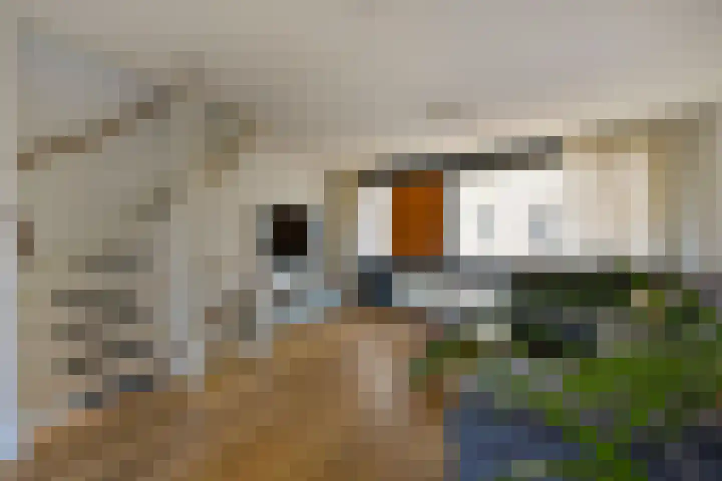 Jeudje 39 Hoorn thumbnail 20