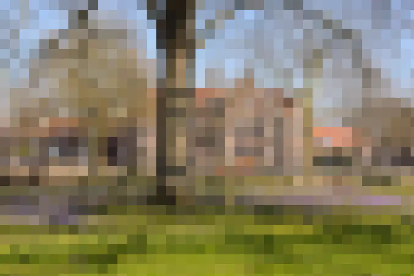 Jeudje 39 Hoorn thumbnail 40