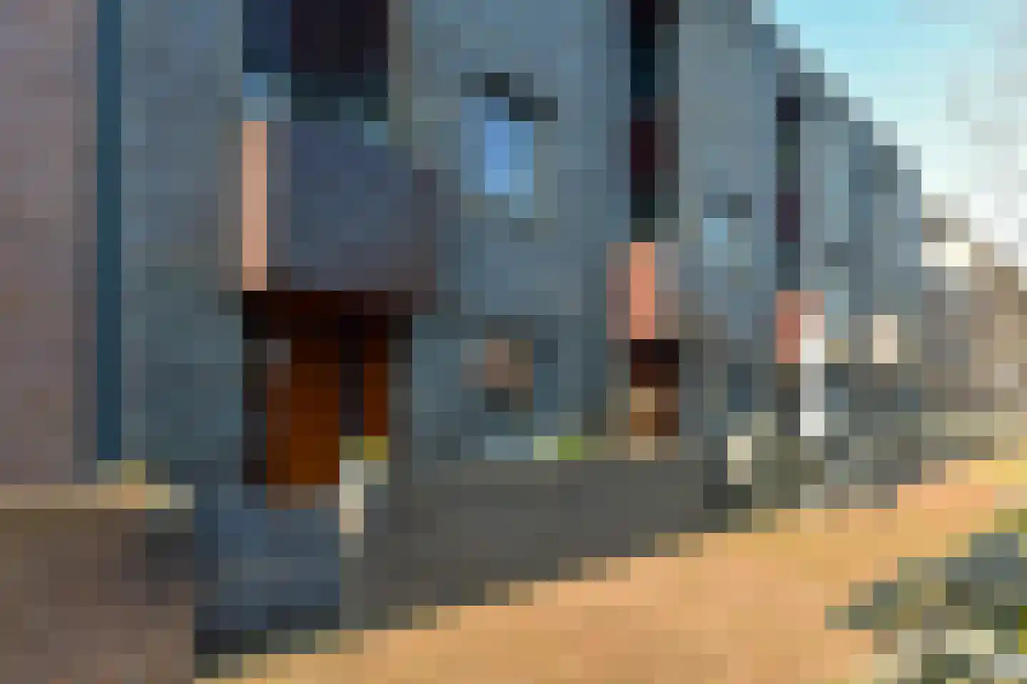 Jeudje 39 Hoorn thumbnail 9