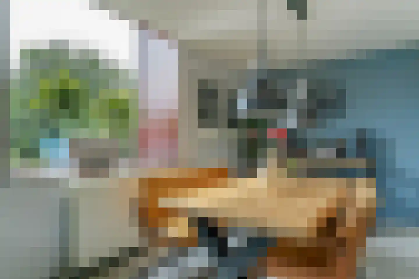 Jeudje 59 Hoorn thumbnail 13