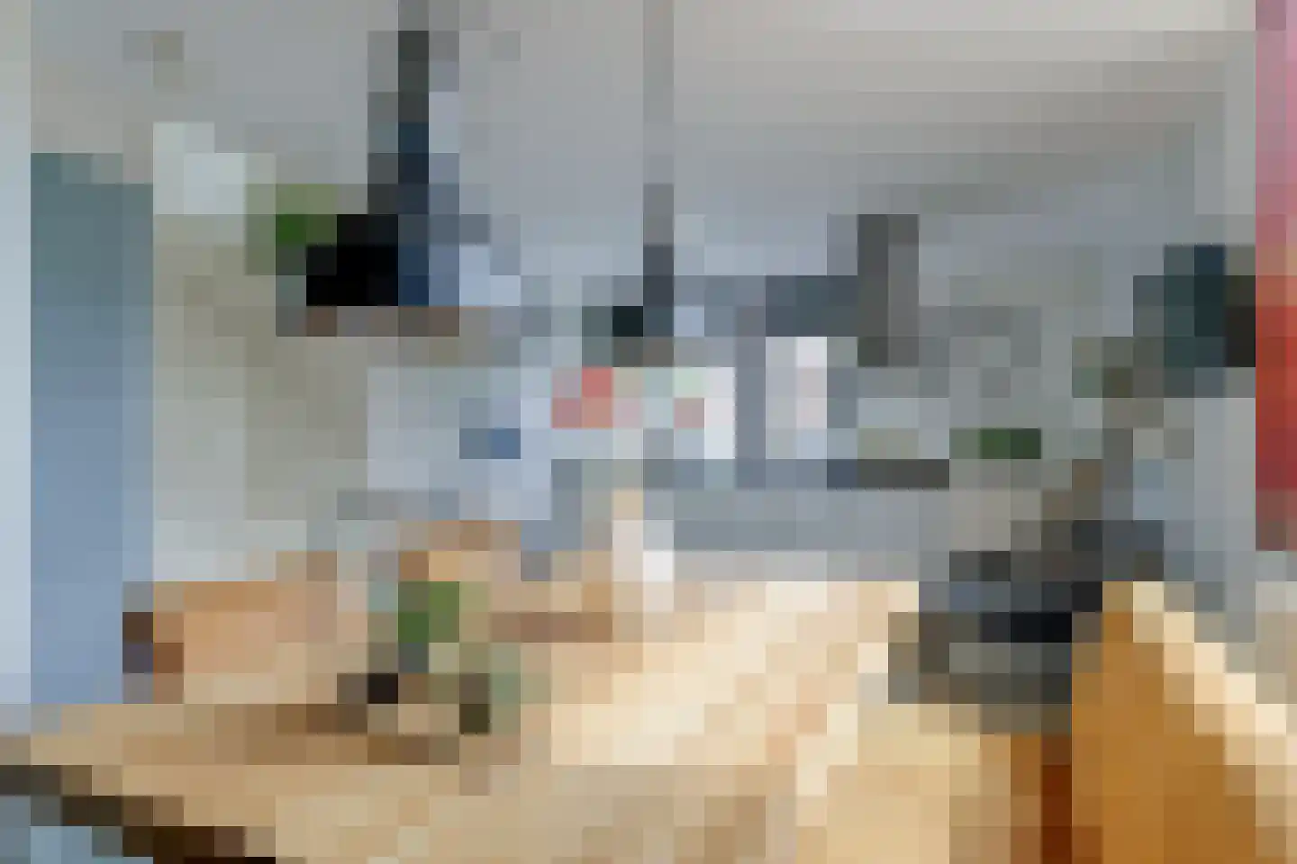 Jeudje 59 Hoorn thumbnail 15