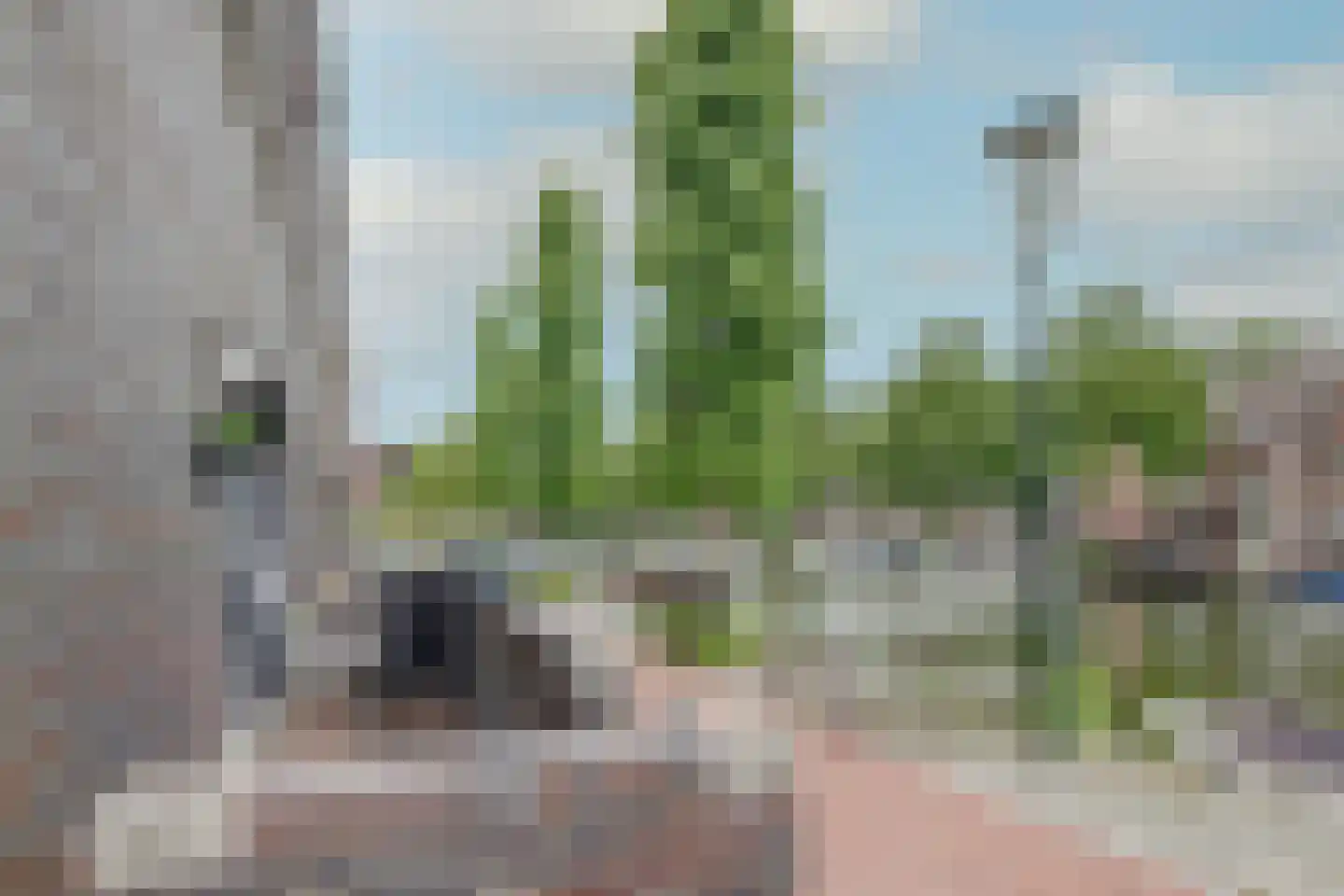 Jeudje 59 Hoorn thumbnail 17