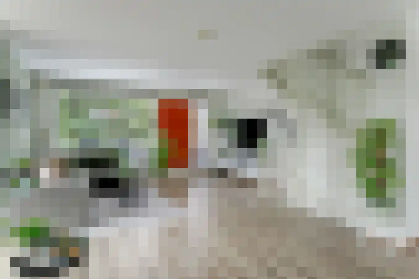 Jeudje 59 Hoorn thumbnail 22