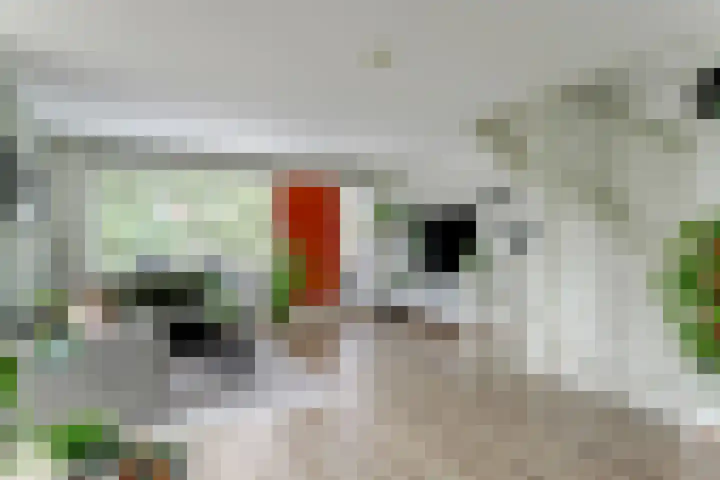 Jeudje 59 Hoorn thumbnail 24
