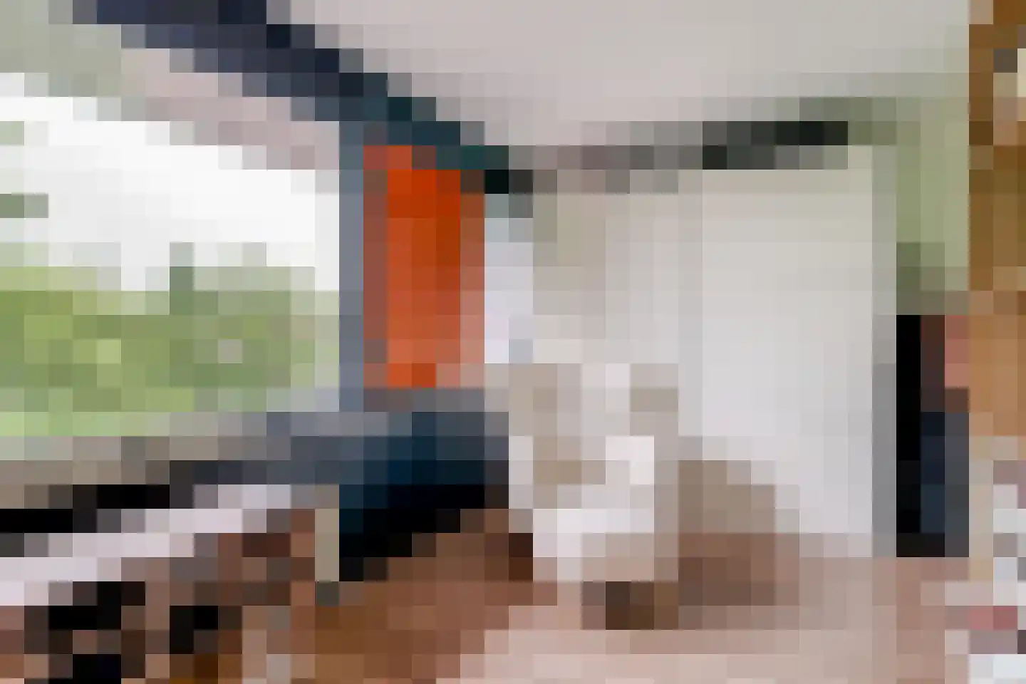 Jeudje 59 Hoorn thumbnail 31