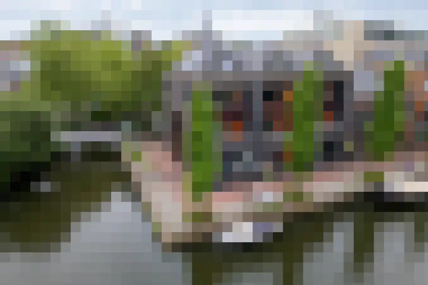 Jeudje 59 Hoorn thumbnail 49