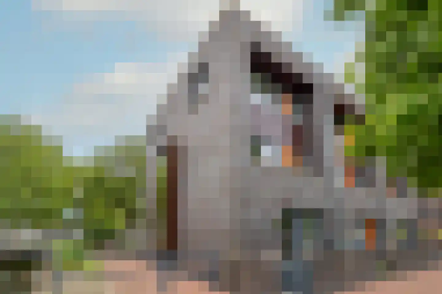 Jeudje 59 Hoorn thumbnail 5