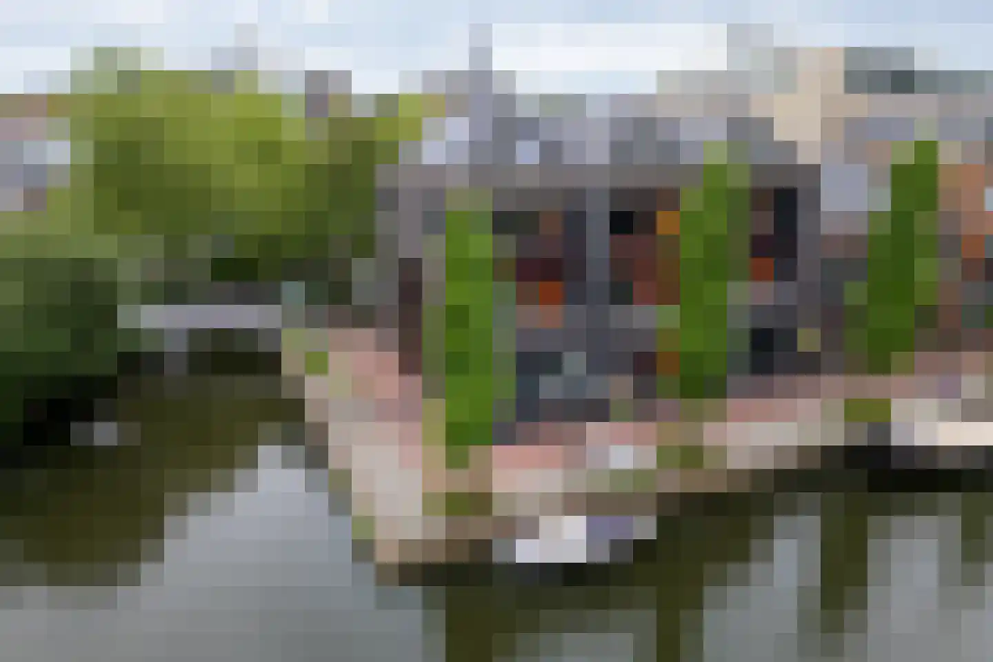 Jeudje 59 Hoorn thumbnail 50