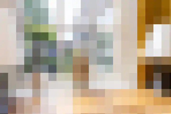Jeudje 8 Hoorn thumbnail 18